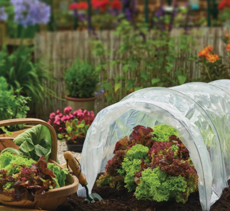 Polythene Grow Tunnel