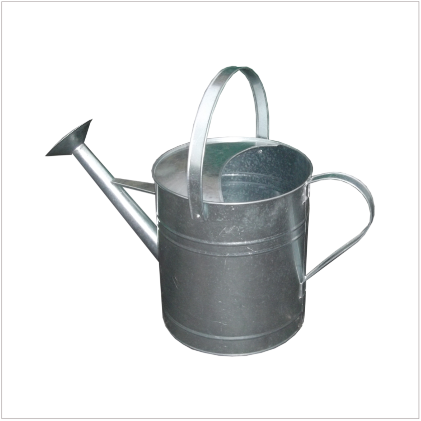 Galvanised Watering Can 2 Gallon