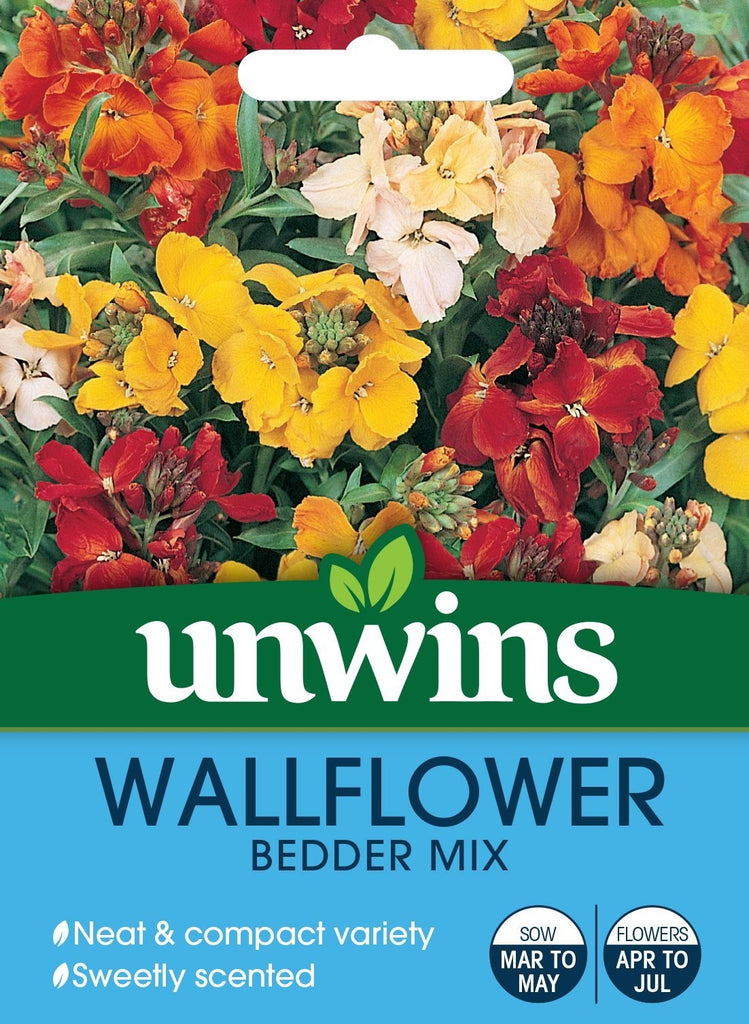 Unwins Wallflower Bedder Mix