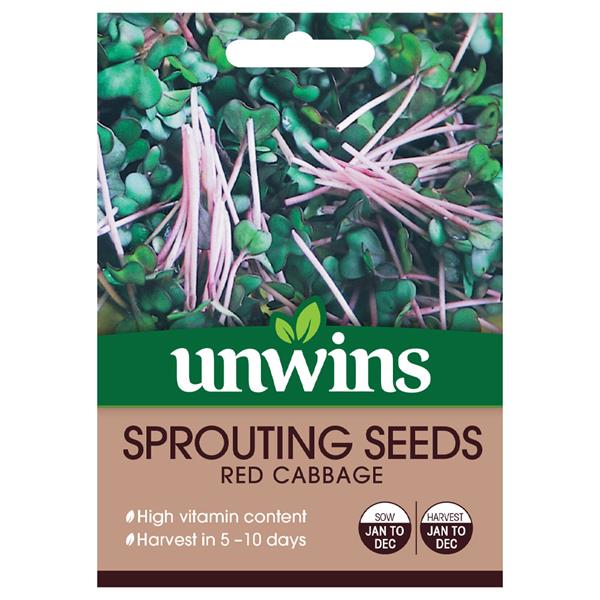 Unwins Sprouting Seeds Red Cabbage