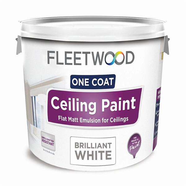 Fleetwood 9+1L Free Ceiling Paint