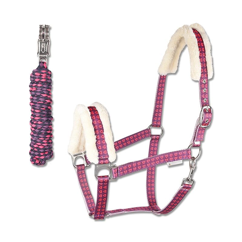 Unicorn Heart Halter Set Cob