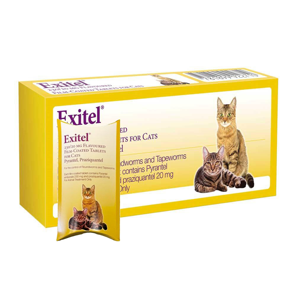 Exitel Cat Flav 104's