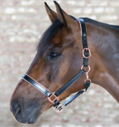 Waldhausen Rose X-Line Leather Halter
