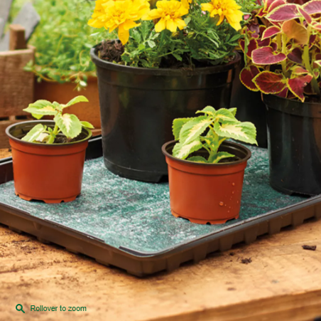 Capillary Matting 5 Pack