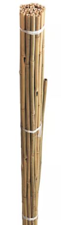 Bamboo Canes Bulk Bundle 10 Pack