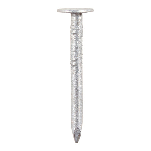 Clout Nails Galvanized 30 x 2.65 Pack 1kg