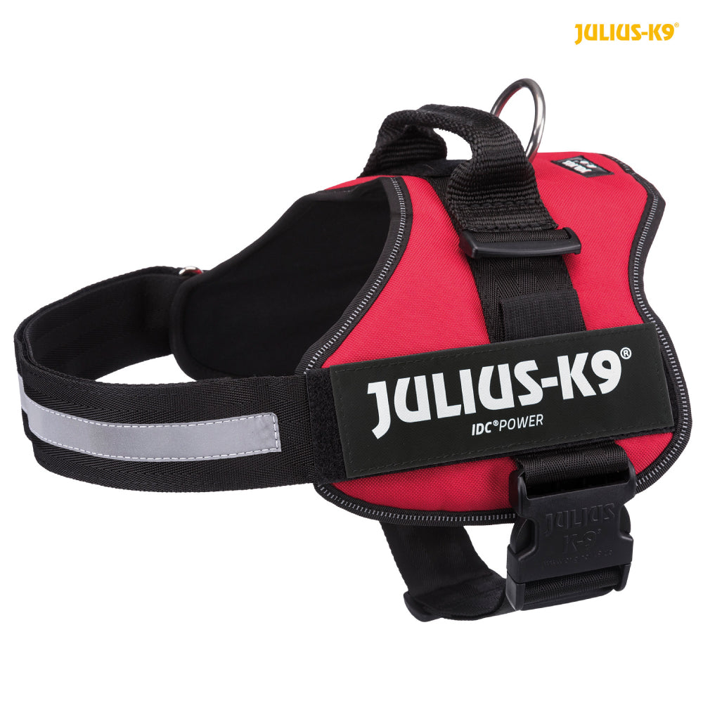 Julius K9 Powerharness L Red
