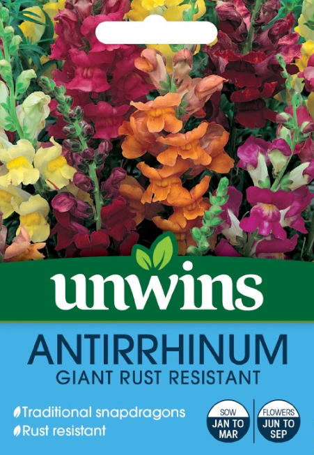 Unwins Anttirrhinum Giant Rust Resistant