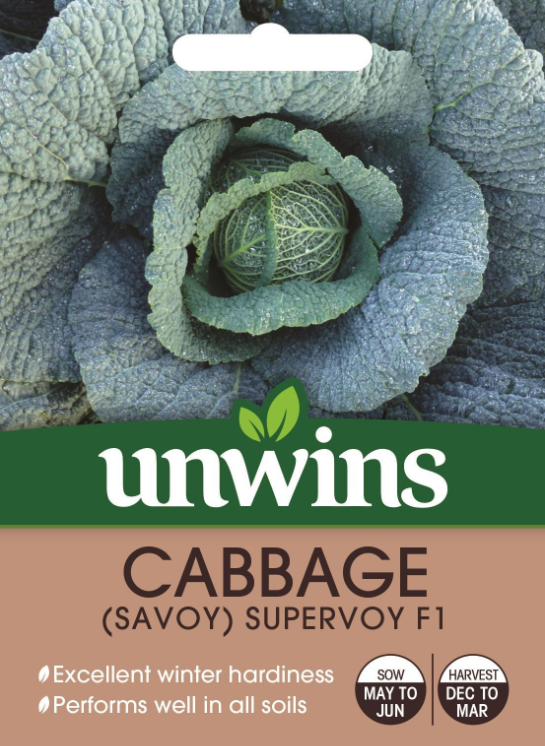 Unwins Cabbage Savoy Supervoy F1