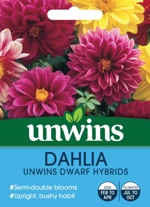 Unwins Dahlia Unwins Dwarf Hybrids