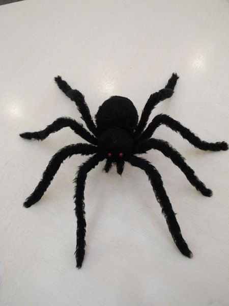 Hairy Spider 70cm