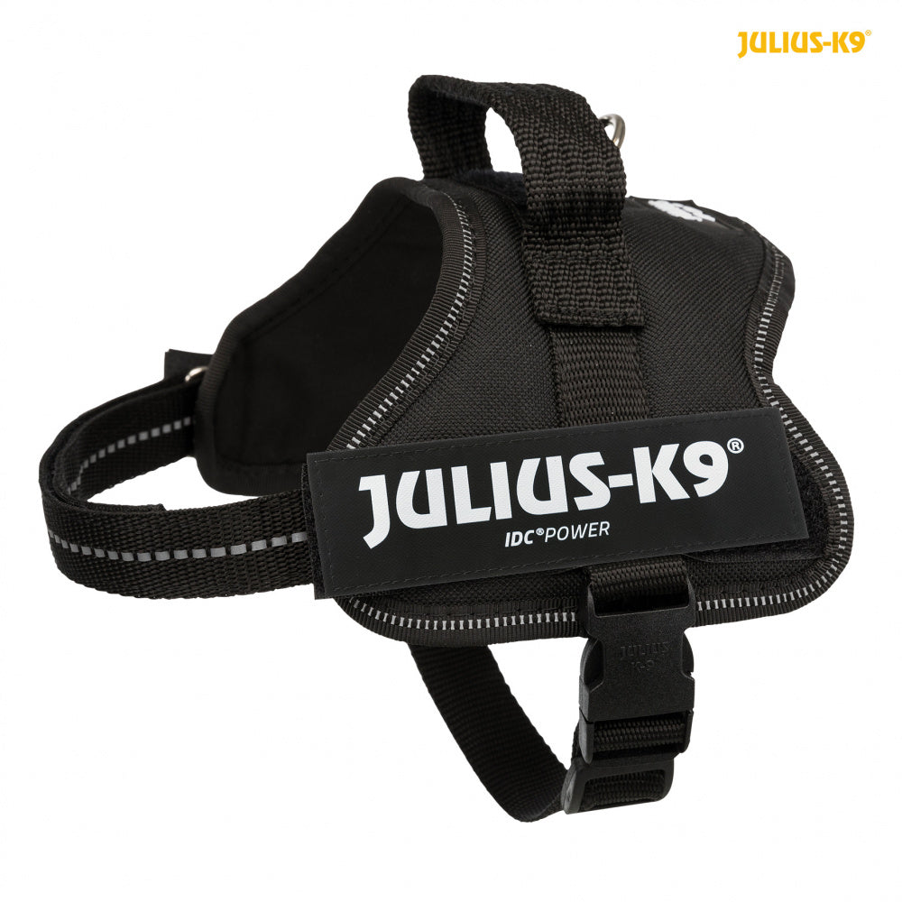 Julius K9 Powerharness M-L Black