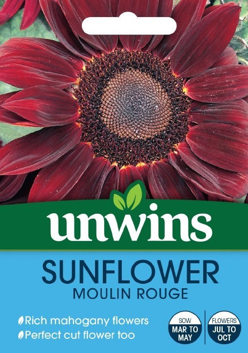 Unwins Sunflower Moulin Rouge