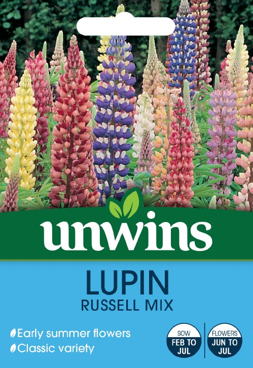 Unwins Lupin Russell Mixed Flower