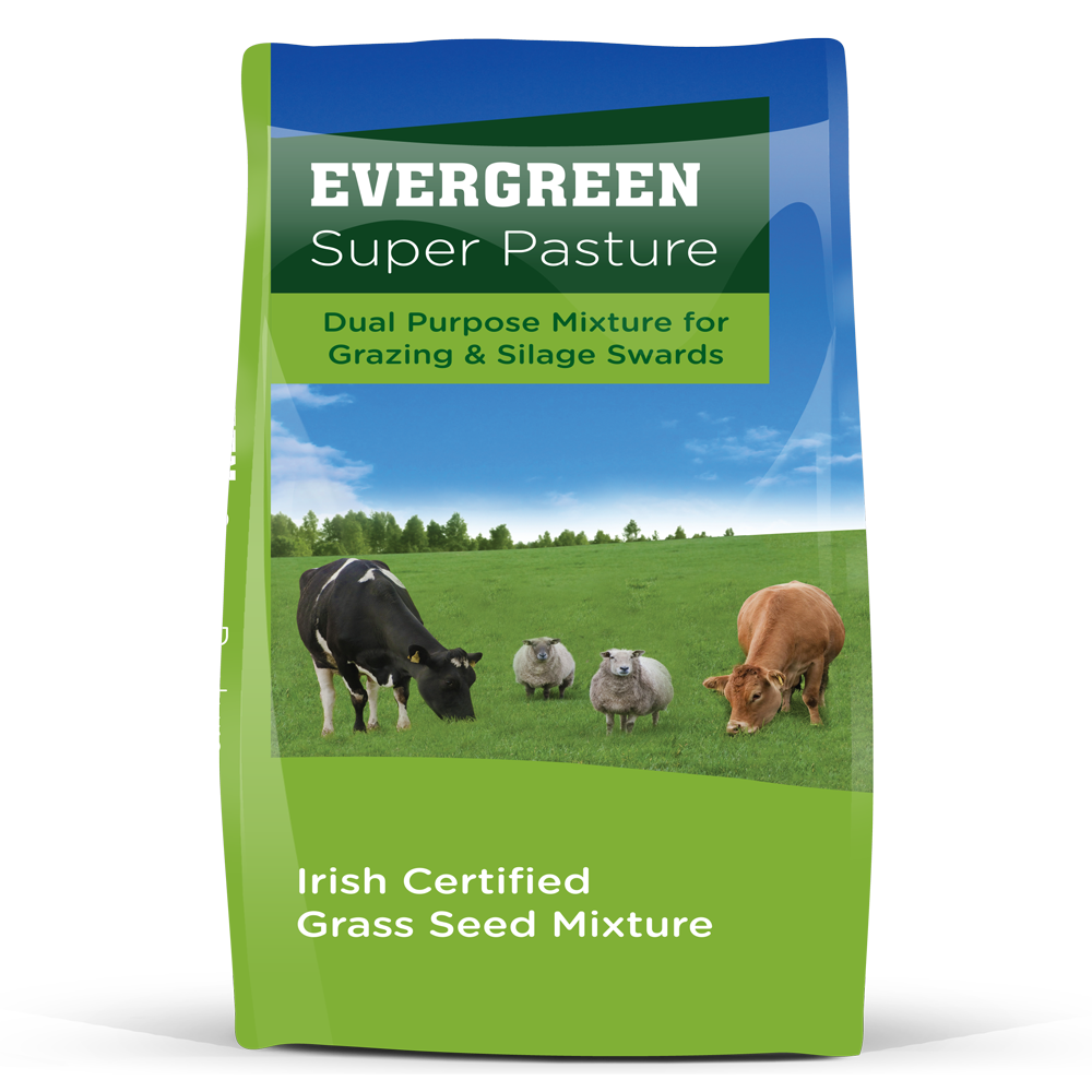 Evergreen Super Pasture 1/2 Acre Bag