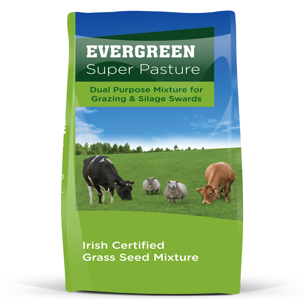 Evergreen Super Pasture Acre Bag