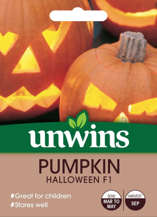 Unwins Pumpkin Halloween