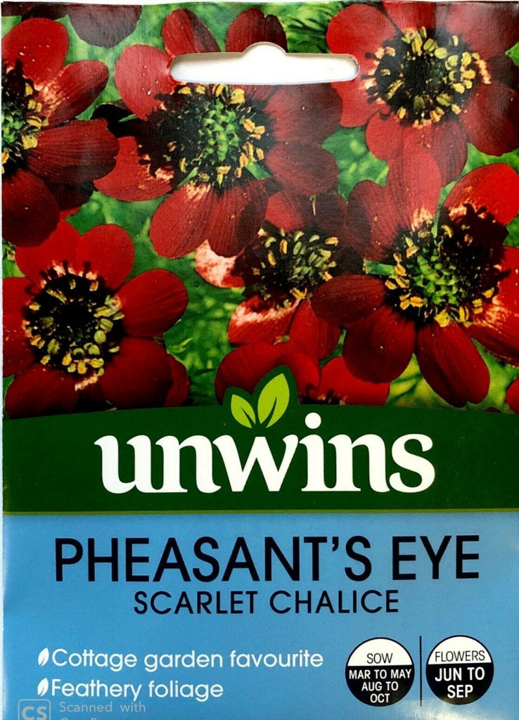 Unwins Pheasants Eye Scarlet Chalice