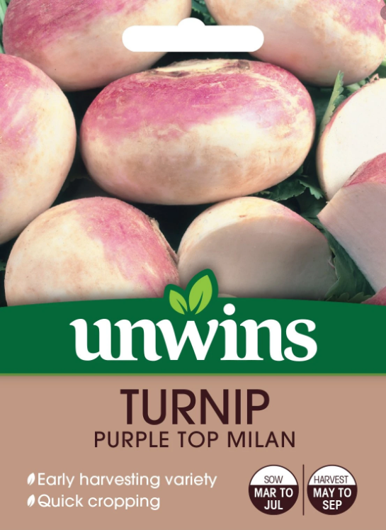 Unwins Turnip Purple Top Milan