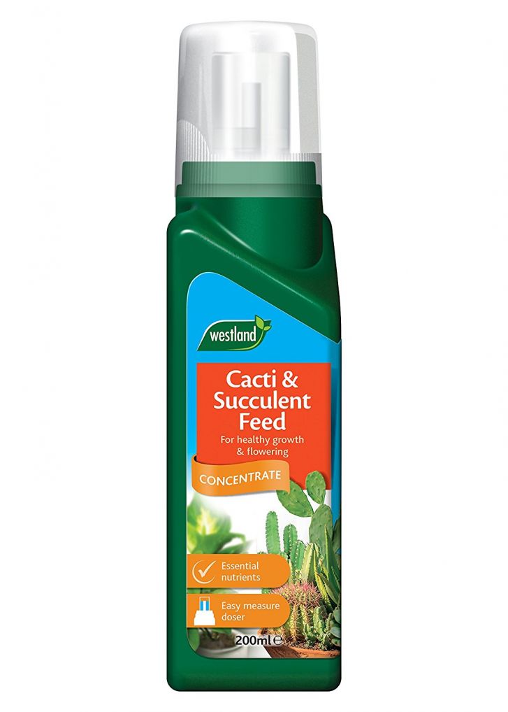 Westland Cacti & Succulent Feed Concentrate 200ml