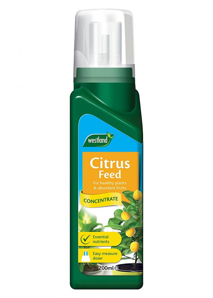 Westland Citrus Feed Concentrate 200ml